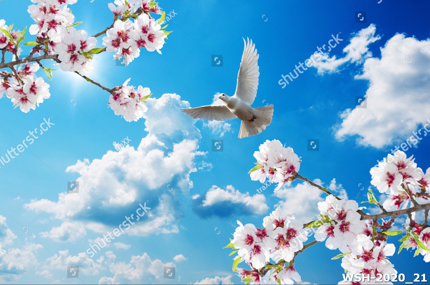 Dán trần trời xanh và hoa WSH-2020_21